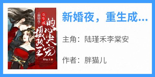 陆瑾禾李棠安小说《新婚夜，重生成摄政王的心尖宠》全文阅读