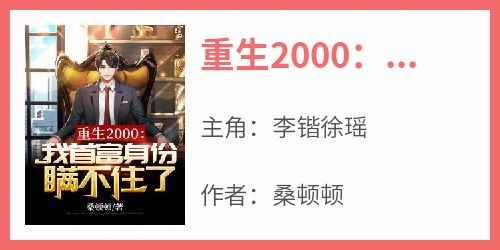 《重生2000：我首富身份瞒不住了》李锴徐瑶全章节目录免费阅读