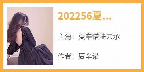 《202256夏辛诺陆云承》夏辛诺陆云承大结局小说全章节阅读