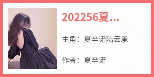 202256夏辛诺陆云承