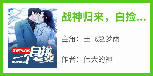 王飞赵梦雨是哪部小说的主角 《战神归来，白捡一个老婆》全文无弹窗