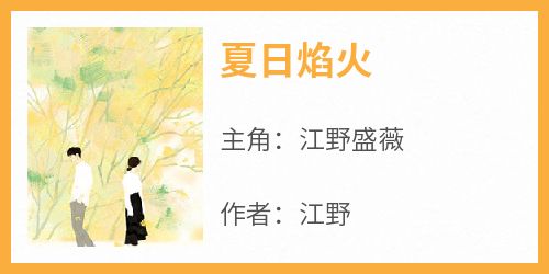 江野盛薇主角抖音小说《夏日焰火》在线阅读