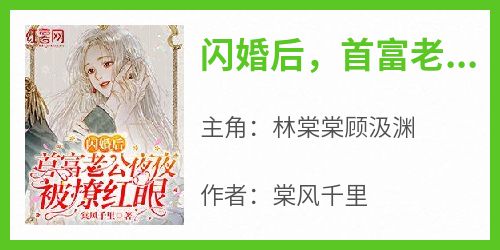棠风千里的小说《闪婚后，首富老公太粘人》主角是林棠棠顾汲渊