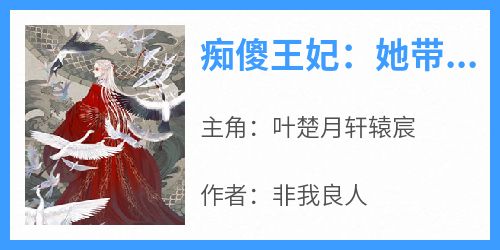 叶楚月轩辕宸是哪部小说的主角 《痴傻王妃：她带崽跳城墙》全文无弹窗