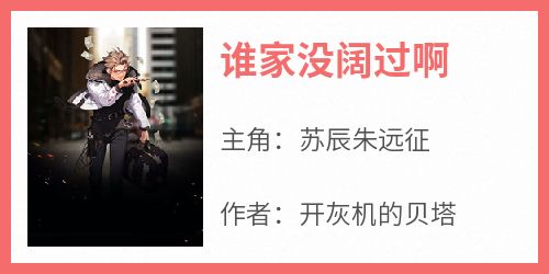 主人公苏辰朱远征在线免费试读《谁家没阔过啊》最新章节列表