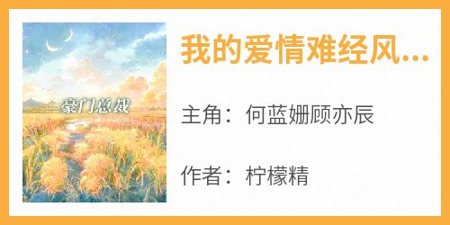 【热文】《我的爱情难经风雨》主角何蓝姗顾亦辰小说全集免费阅读