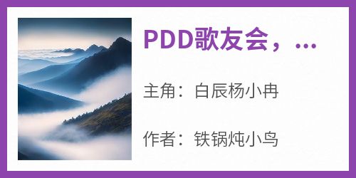 《PDD歌友会，致郁千万水友》白辰杨小冉全章节目录免费阅读