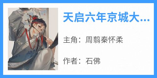 天启六年京城大雪陛下驾崩了小说免费版阅读抖音热文