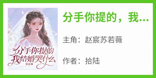 赵宸苏若薇是哪本小说主角 《分手你提的，我结婚哭什么》免费全章节阅读