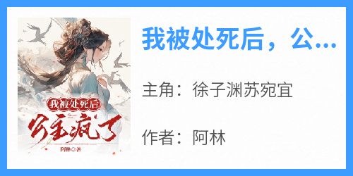徐子渊苏宛宜主角的小说完结版《我被处死后，公主疯了》全集