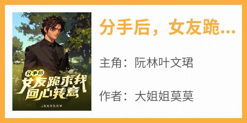  After breaking up, my girlfriend knelt down and begged me to change my mind and read the full text for free, the full version of the novel by Ruan Lin and Ye Wenjun